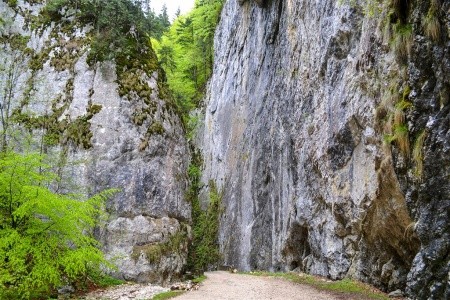 Tajemná Transylvánie po stopách hraběte Drákuly - 10