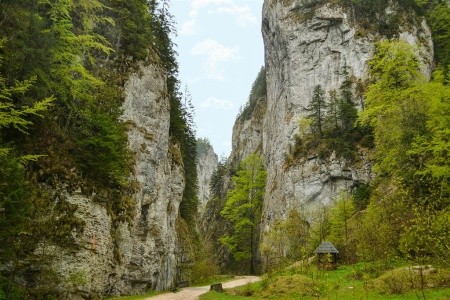 Tajemná Transylvánie po stopách hraběte Drákuly - 11