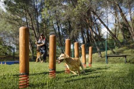 Lanterna Premium Camping Resort - 33