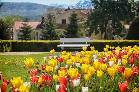 Ensana Esplanade Health Spa (Ex Danubius Health Spa Resort) - 86