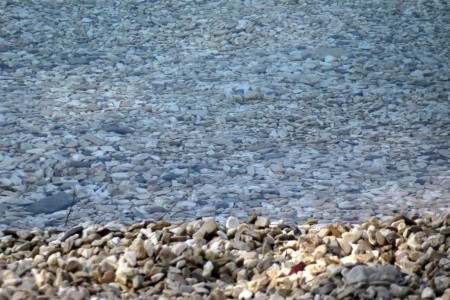 Apartmány Mala Luka - 12