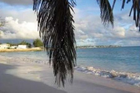 Butterfly Beach - 29