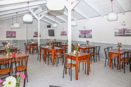 Grécko Kréta Happy Days Studios 8 dňový pobyt Raňajky Letecky Letisko: Praha July 2026 (27/07/26- 3/08/26)