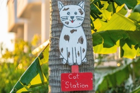 Labranda Lebedos Princess - 125