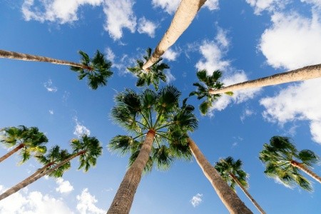 Parque Cristobal - 188