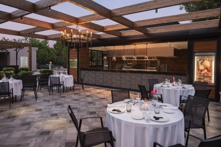 Papillon Ayscha - 13