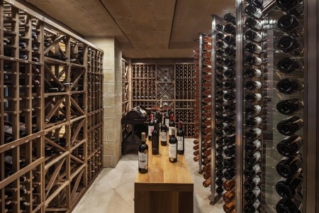 Papillon Ayscha - 14