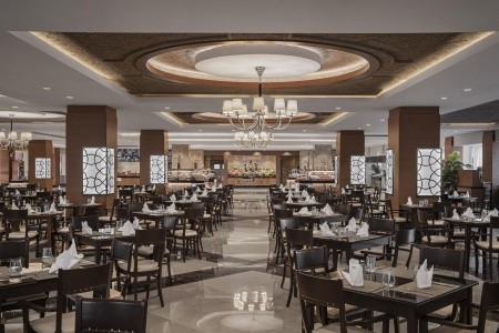 Papillon Ayscha - 15