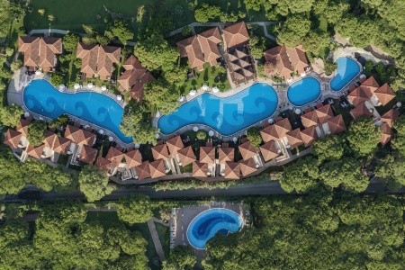 Papillon Ayscha - 17