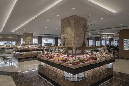 Papillon Ayscha - 18