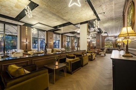 Papillon Ayscha - 19