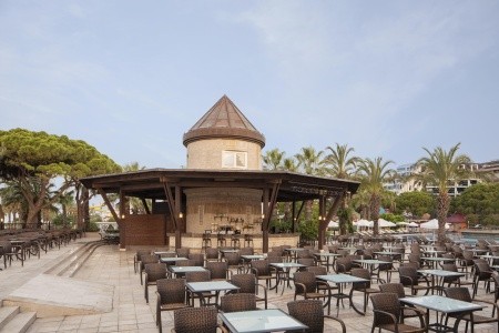 Papillon Ayscha - 25