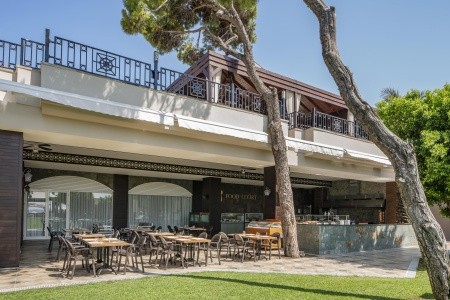 Papillon Ayscha - 26