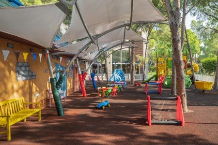 Papillon Ayscha - 29