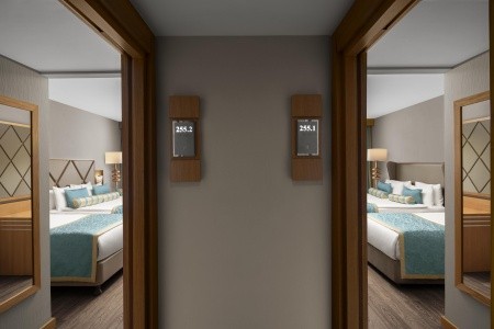 Papillon Ayscha - 34