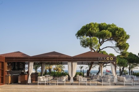 Papillon Ayscha - 37