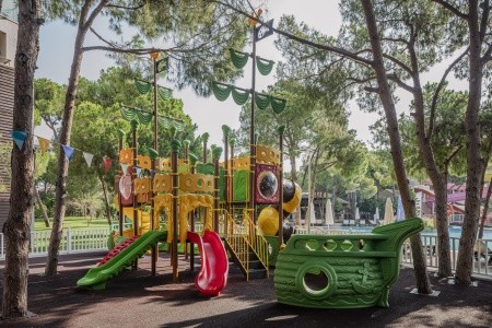 Papillon Ayscha - 38