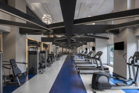 Papillon Ayscha - 41