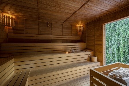 Papillon Ayscha - 42