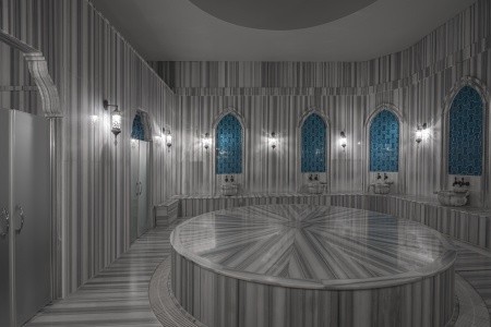 Papillon Ayscha - 43