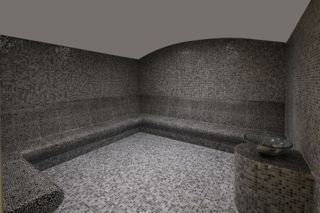 Papillon Ayscha - 44