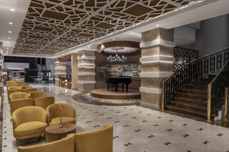 Papillon Ayscha - 45