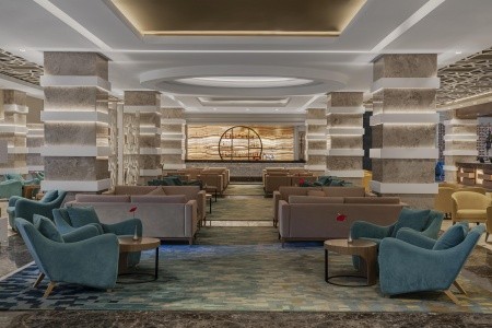 Papillon Ayscha - 46