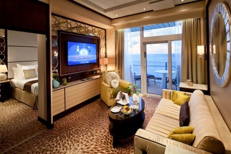 Celebrity Reflection - 22