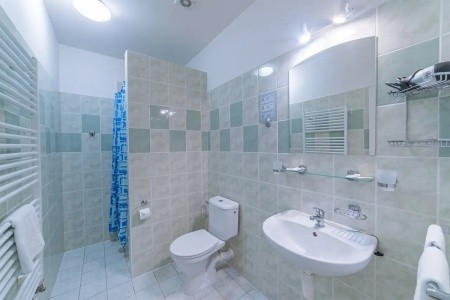 Lázeňský Hotel Metropol - 3