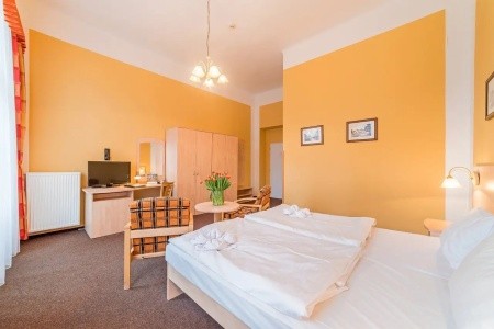 Lázeňský Hotel Metropol - 4