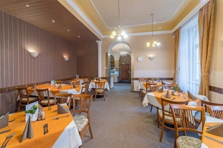 Lázeňský Hotel Metropol - 7