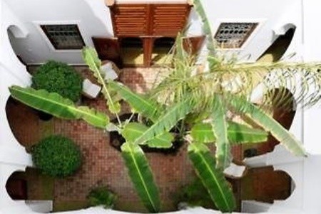 Riad Les Bougainvilliers - 14