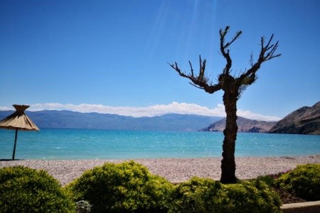 Apartmán Gorica - 4