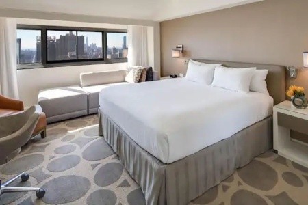 Millennium Hilton New York One Un Plaza - 52