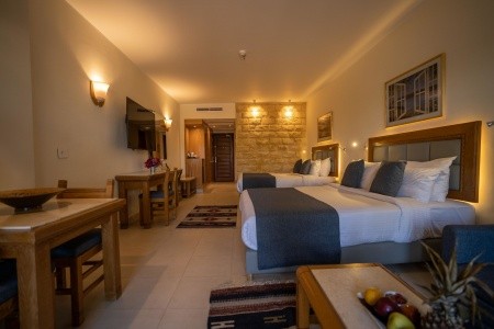 Fort Arabesque The Beach Resort - 15