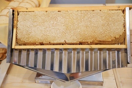 Bulharsko Obzor Sol Luna Bay Resort & Aquapark 8 dňový pobyt All Inclusive Letecky Letisko: Bratislava August 2026 (18/08/26-25/08/26)