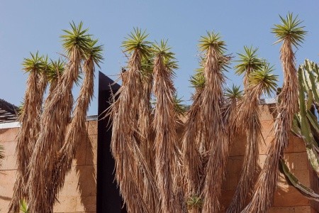 Sheraton Salobre Golf Resort & Spa - 193