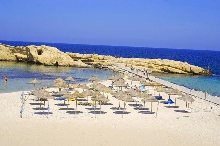 Delphin El Habib - 6