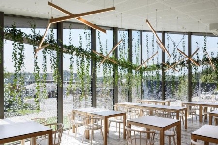 Breza Terme Olimia - 10