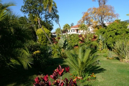 Madeira Funchal Quinta Jardins Do Lago 8 dňový pobyt Raňajky Letecky Letisko: Praha October 2025 (13/10/25-20/10/25)