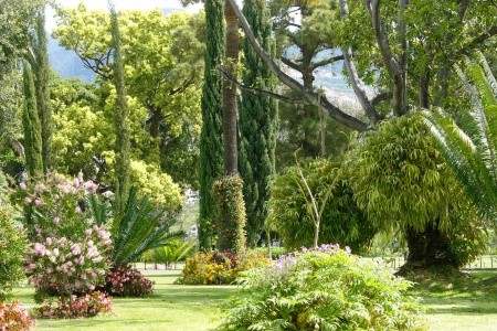 Madeira Funchal Quinta Jardins Do Lago 8 dňový pobyt Raňajky Letecky Letisko: Praha October 2025 (13/10/25-20/10/25)