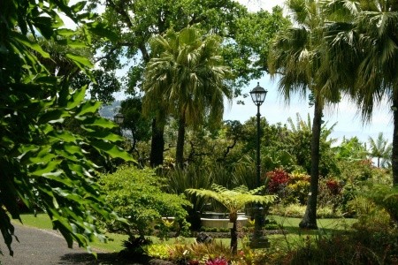 Madeira Funchal Quinta Jardins Do Lago 8 dňový pobyt Raňajky Letecky Letisko: Praha October 2025 (13/10/25-20/10/25)