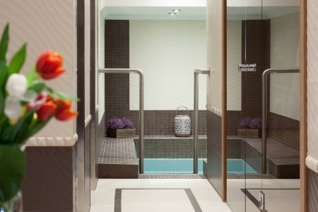 Česká republika Západné Čechy Excelsior 8 dňový pobyt Polpenzia Vlastná January 2026 (13/01/26-20/01/26)