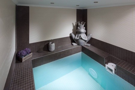 Česká republika Západné Čechy Excelsior 8 dňový pobyt Polpenzia Vlastná January 2026 (13/01/26-20/01/26)