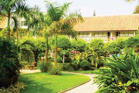 Sunshine Garden - 87