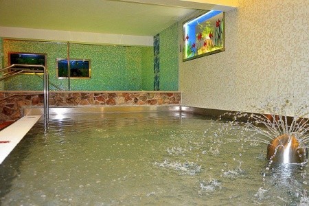 Slovensko Nízke Tatry Ski & Wellness Residence Družba 5 dňový pobyt Polpenzia Vlastná January 2026 (20/01/26-24/01/26)