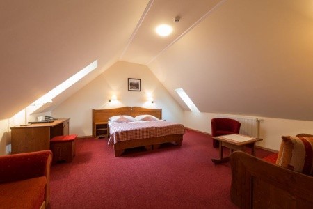 Slovensko Nízke Tatry Ski & Wellness Residence Družba 5 dňový pobyt Polpenzia Vlastná January 2026 (20/01/26-24/01/26)