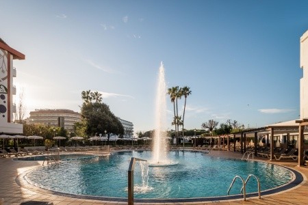 Alegria Florida - 45