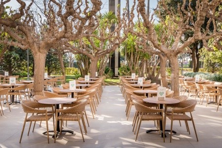 Alegria Florida - 53