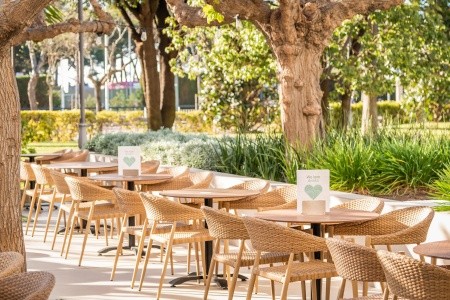 Alegria Florida - 54